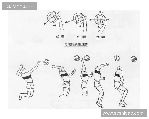 赵静独家分享排球心得与技巧助你提升球技的全面指南