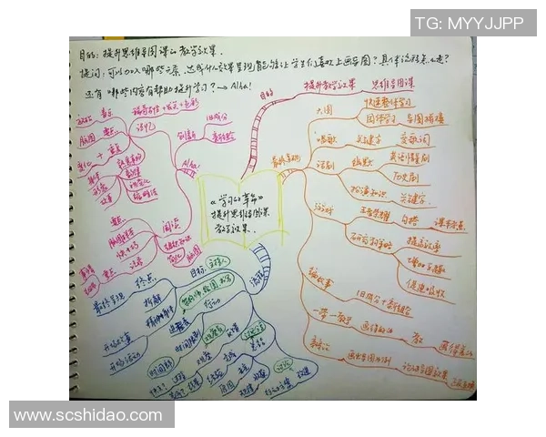 飞盘与梦想交织的旅程杨秀英的深度对话与人生启示
