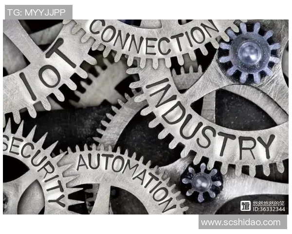 成都排球队进攻革新之路探索与实践分析